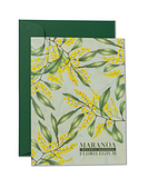 Maranoa Botanic Gardens Florilegium Gift card set Acacia pycnantha by Janet Townsend