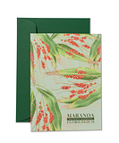 Maranoa Botanic Gardens Florilegium Gift card set Cordyline petiolaris by Peggy White