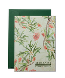 Maranoa Botanic Gardens Florilegium Gift card set Stenocarpus sinuatus by Margaret Castle