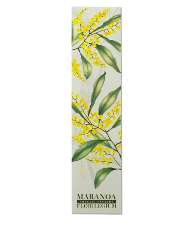 Maranoa Botanic Gardens Florilegium bookmark - Acacia pycnantha by Janet Townsend