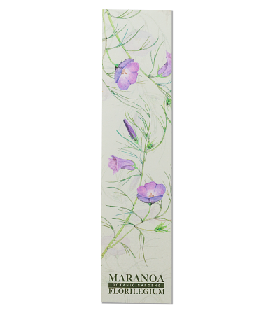 Maranoa Botanic Gardens Florilegium Bookmark Alyogyne hakeifolia by Lynne MacDonald